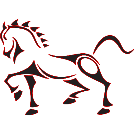 COLLECTION EQUITATION
